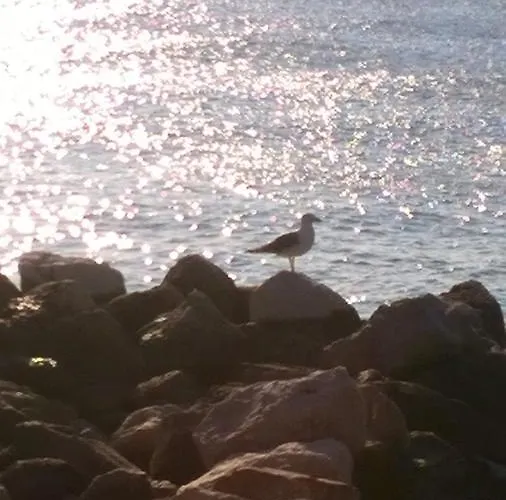 Lejlighed Tranquillo *